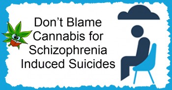 Don’t Blame Cannabis for Schizophrenia Induced Suicides
