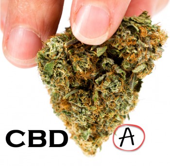 CBDA: A Cannabinoid Acid with Therapeutic Promise
