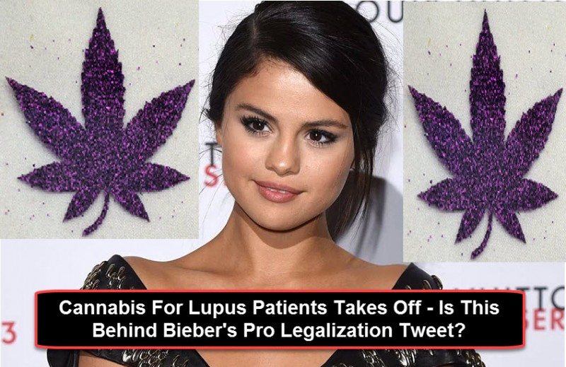 lupus and cannabis