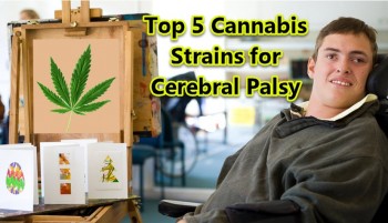 Top 5 Cannabis Strains for Cerebral Palsy