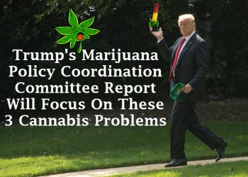 Trump's Marijuana Policy Coordination Committee Report Will Focus On These 3 Cannabis Problems