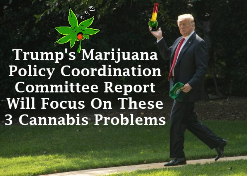 Marijuana Policy Coordination