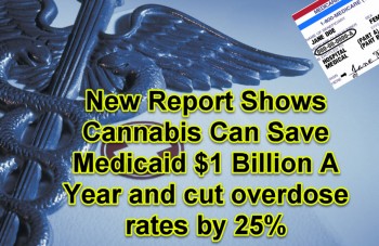 Legal Cannabis Can Save $1 Billion A Year and Cut Overdose Rates By 25%
