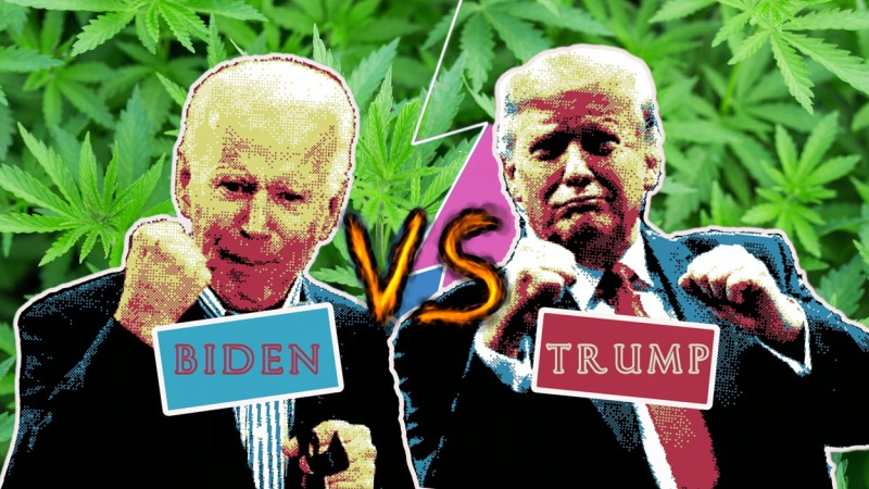 Biden or Trump to legalize marijuana