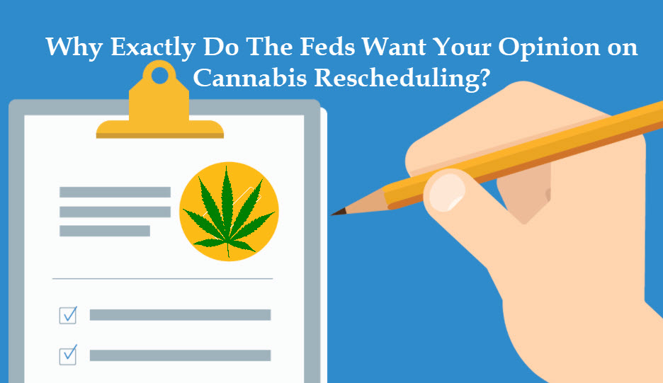 Why Exactly Do The Feds Want Your Opinion On Cannabis Rescheduling?