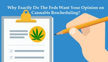 Why Exactly Do The Feds Want Your Opinion on Cannabis Rescheduling?