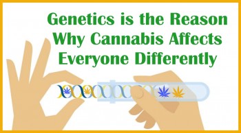 Genetics is the Reason Why Cannabis Affects Everyone Differently