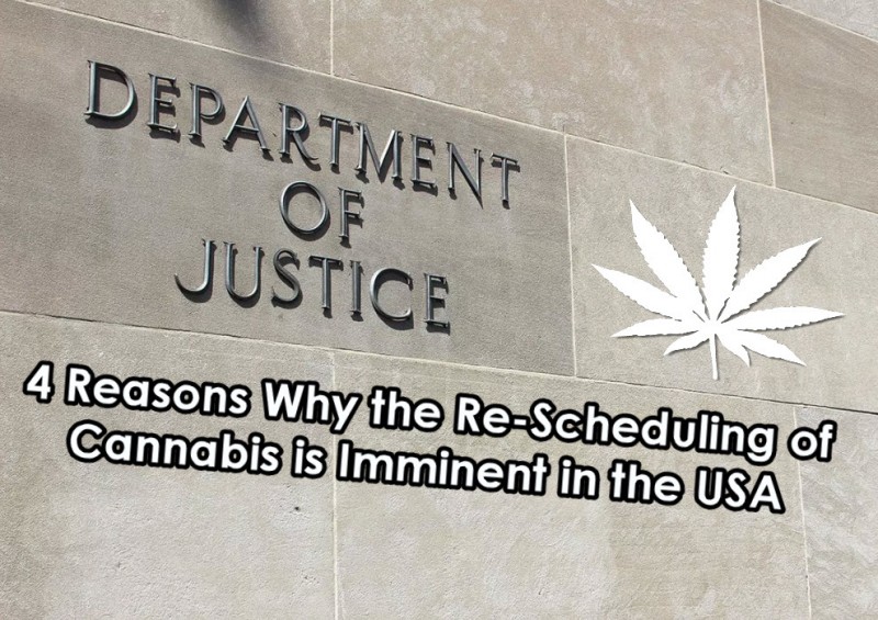 DEA on cannabis