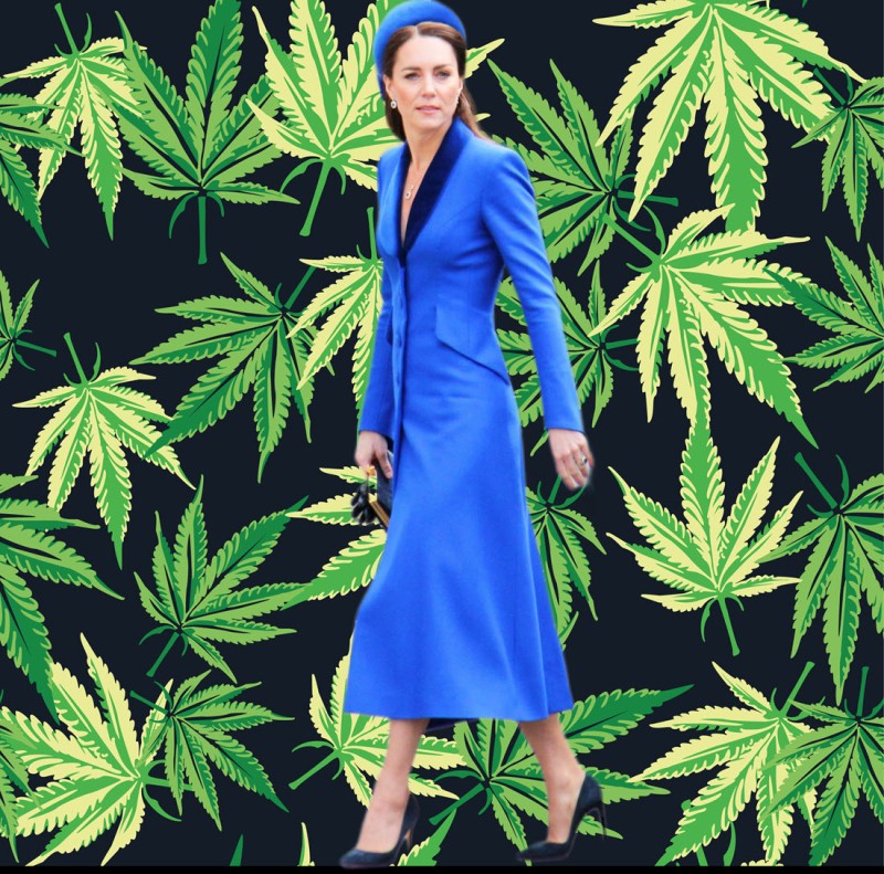 Kate Middleton cancer UK cannabis market