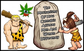 The Mechanisms Of How Cannabis Affects Men And Women Differently Discovered in New Study