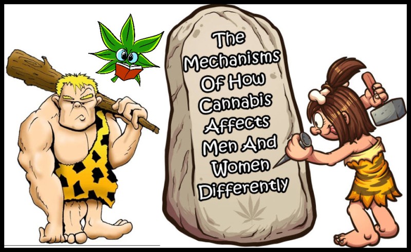 how men and women react to cannabis