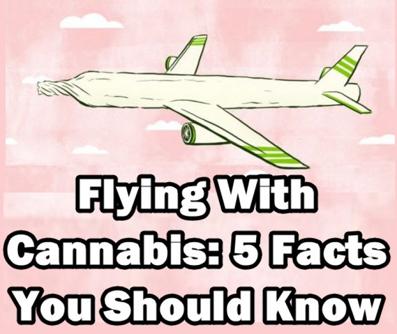 flying with marijuana cannabis