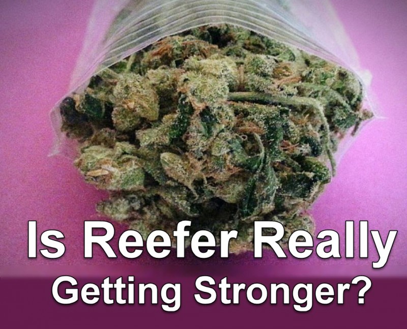 cannabis strength