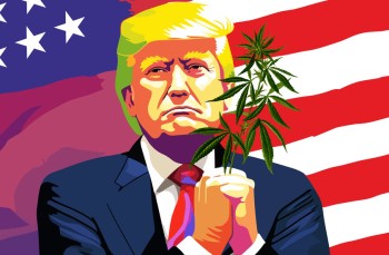 Latest Trump Weed Rumor - Trump Will Federally Deschedule and Decriminalize Cannabis, but Not Legalize It