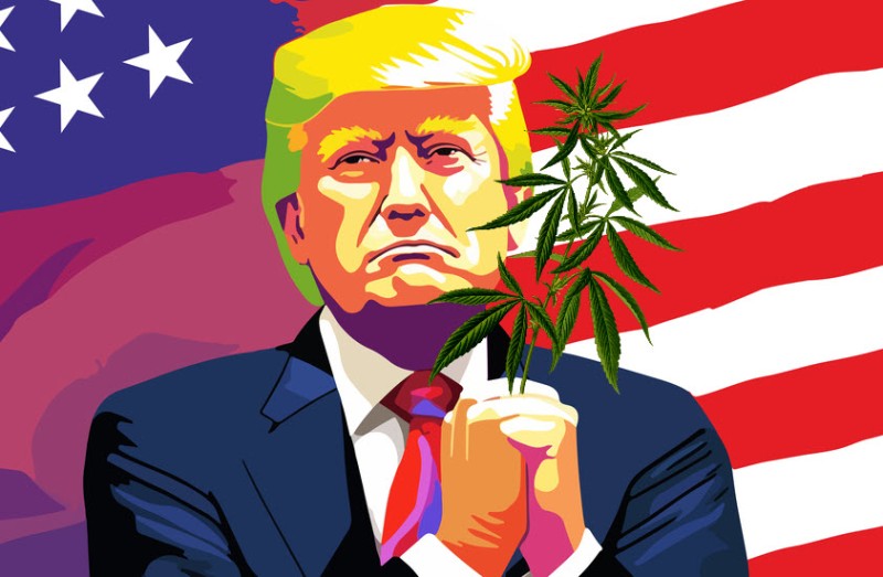 Trump on cannabis reform