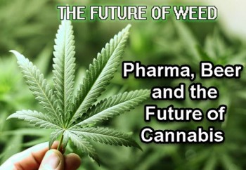 Pharma, Beer and the Future of Cannabis