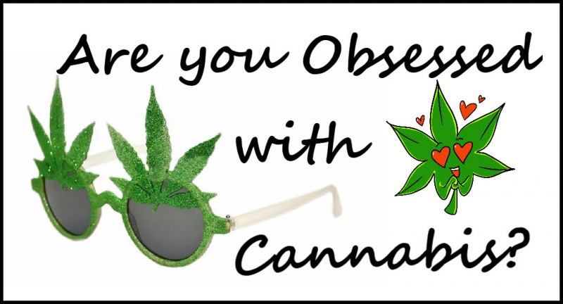 obsessed with cannabis