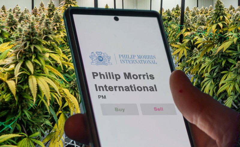 Philip Morris cannabis industry