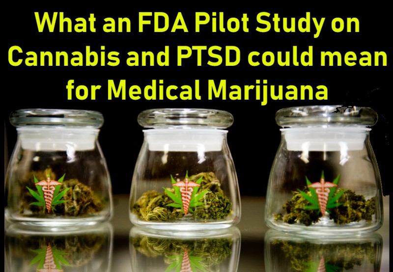 M.A.P.S FDA PTSD Study