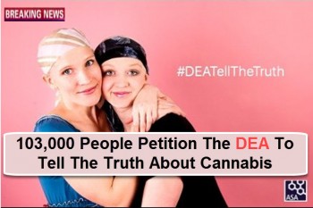 DEA Overwhelmed By Tell The Truth About Cannabis Petition