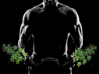 Jacked Hemp - Can CBD Really Up Your Gains at the Gym?