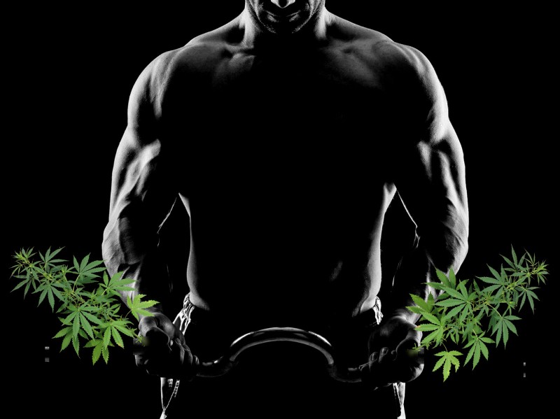 CBD for muscle gains