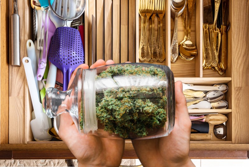 cannabis home grow drug cartels