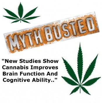 Myth Busted : Cannabis Actually Makes You Smarter
