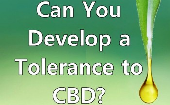Can You Develop a Tolerance to CBD?
