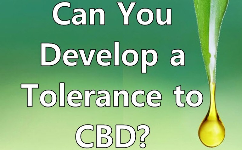 develop a high cbd tolerance