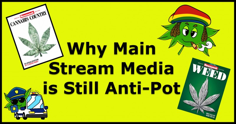 media anti-pot