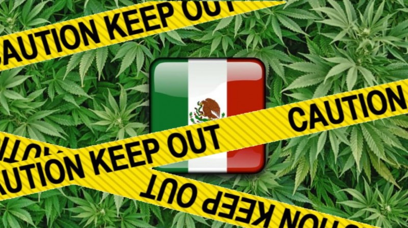 Mexico blocks foreign investment for cannabis