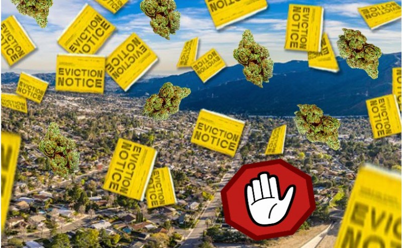 cannabis eviction notice