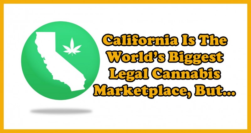 cannabis marketplace