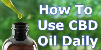 How To Use CBD Oil Daily