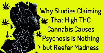 Why Studies Claiming That High THC Cannabis Causes Psychosis is Nothing but Reefer Madness