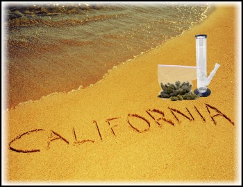California Marijuana Tax Revenue Hits Over $800 Million in Record Smashing Year