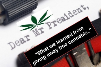 Dear Mr. President, What I Learned From Giving Away Free Cannabis For A Year
