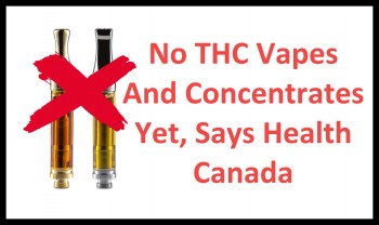 No THC Vapes And Concentrates Yet, Says Health Canada