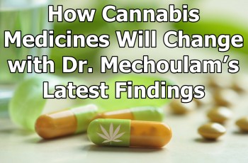 How Cannabis Medicines Will Change with Dr. Mechoulam’s Latest Findings
