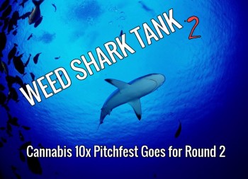 Cannabis 10x is the Shark Tank of Weed and They are Back for Round Two
