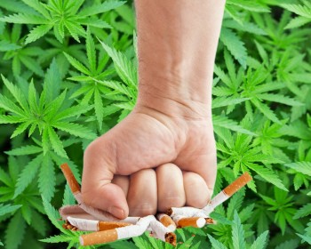 Are Americans Shifting to Cannabis and Saying Goodbye to Cigarettes for Good?