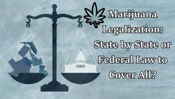 Politics: Why Marijuana Should Be A State Decision and Not A Federal One