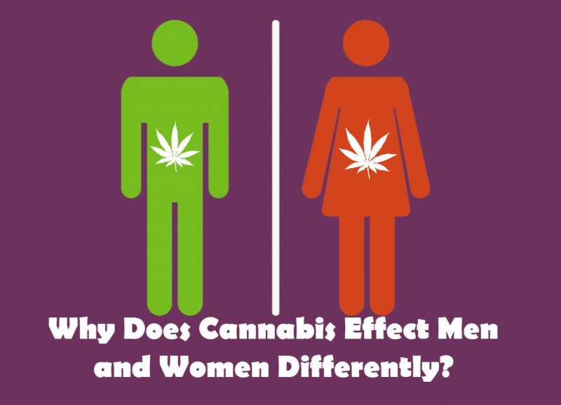 Men and Women and Cannabis