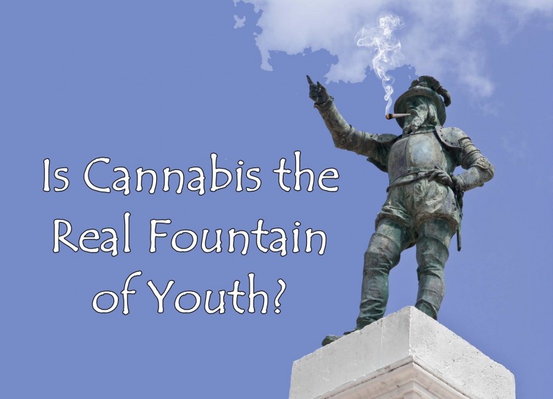 cannabis fountain of youth