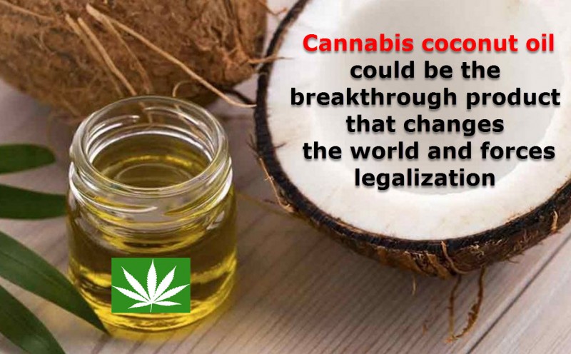 cannabis coconut oil
