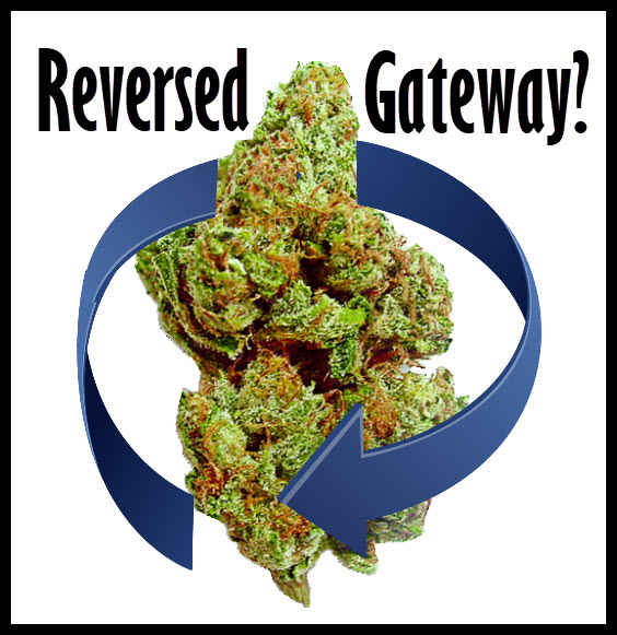 Cannabis As A Reverse Gateway Drug? (New Study)