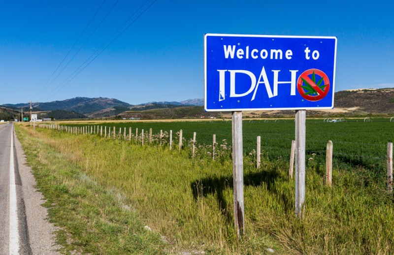 Idaho says no CBD for pets