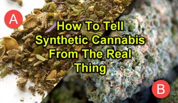 How To Tell Synthetic Cannabis From The Real Thing