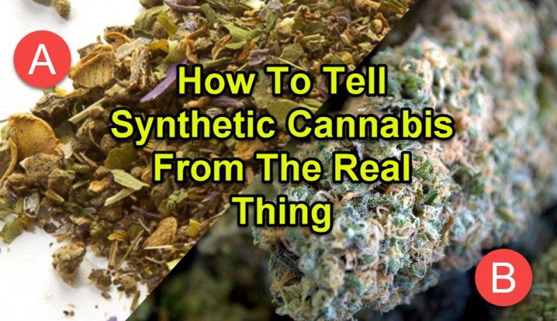 how to tell synthetic cannabis from real cannabis